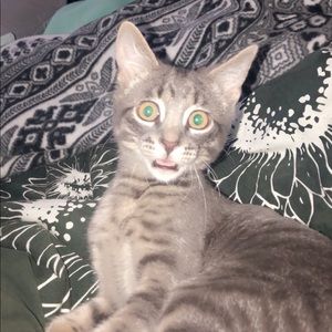 Meet your Posher, Ashley